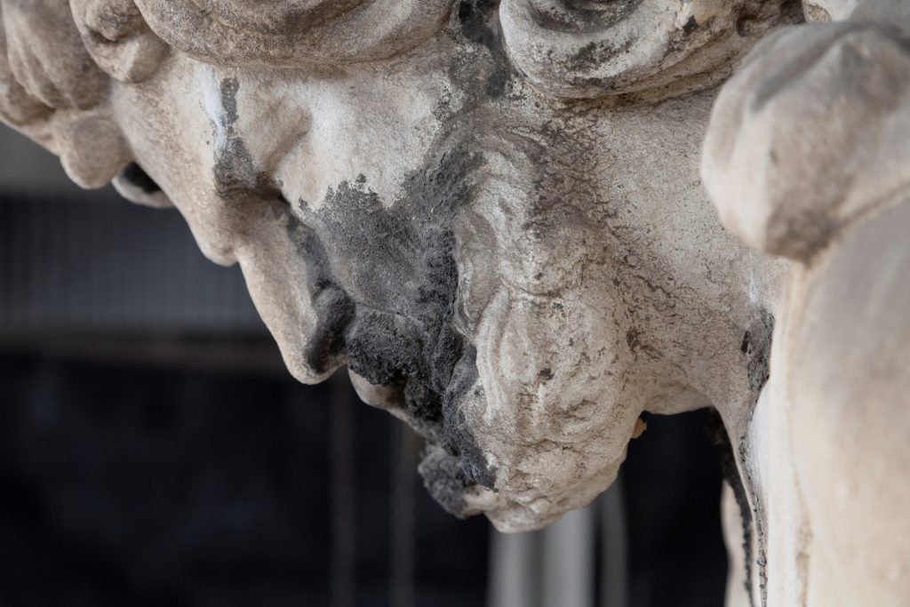 Il volto di Sansone, visto di profilo, con presenza di croste nere e concrezioni superficiali. Foto di ©MarcoLigabue