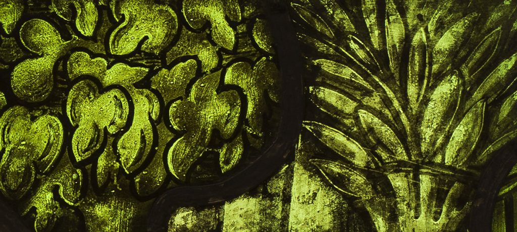 Dettaglio tratto dalla vetrata la Creazione delle piante, custodito presso il Museo del Duomo di Milano, con tipologie di foglie e fronde degli alberi della scena biblica