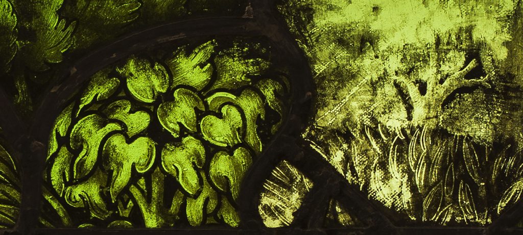 Dettaglio tratto dalla vetrata la Creazione delle piante, custodito presso il Museo del Duomo di Milano, con raffigurate fronde, arbusti e dettagli vegetali del giardino di Dio