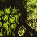Dettaglio tratto dalla vetrata la Creazione delle piante, custodito presso il Museo del Duomo di Milano, con raffigurate fronde, arbusti e dettagli vegetali del giardino di Dio