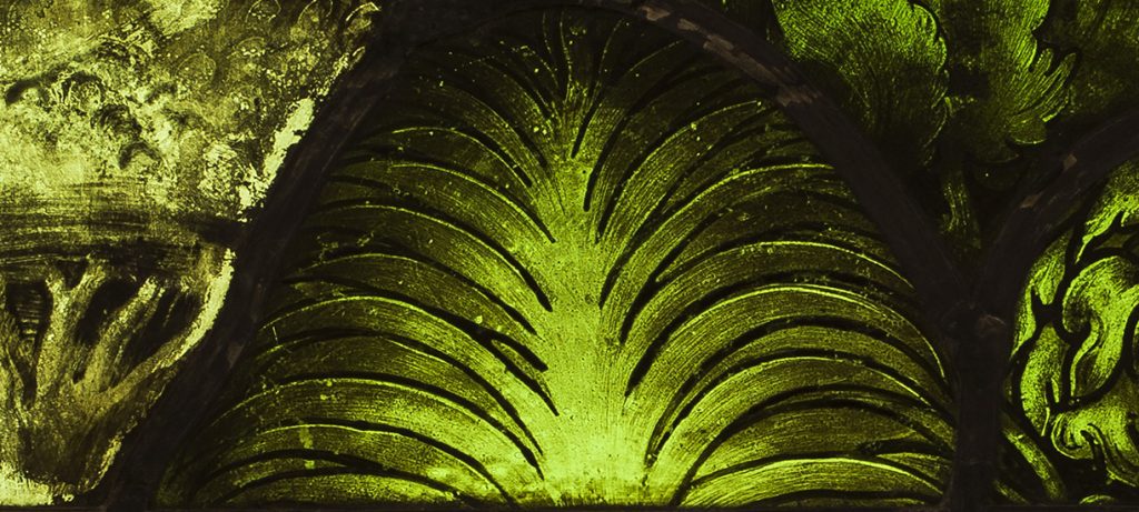 Dettaglio tratto dalla vetrata la Creazione delle piante, custodito presso il Museo del Duomo di Milano, capolavoro vetrario di Corrado de Mochis