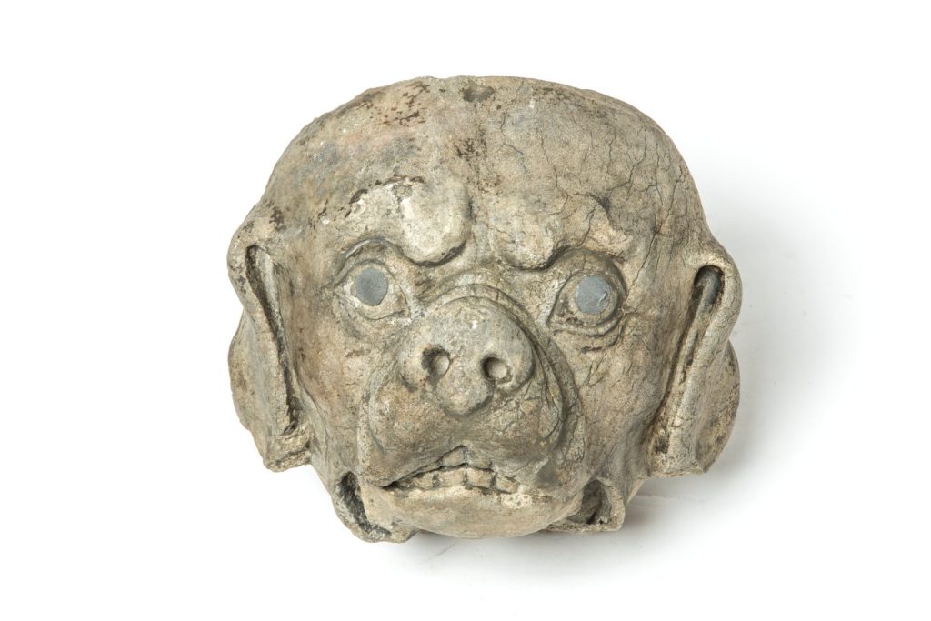 Testa di cane mastino