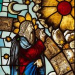Creazione delle piante, antello n° 20, vetrata del Duomo di Milano